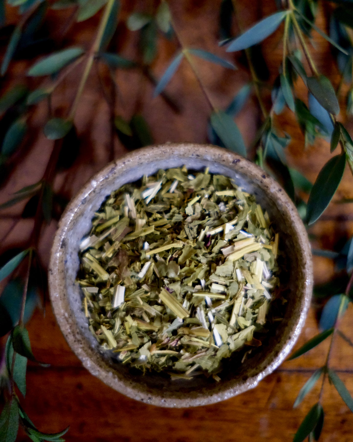 Skullcap | Apothecary Tea