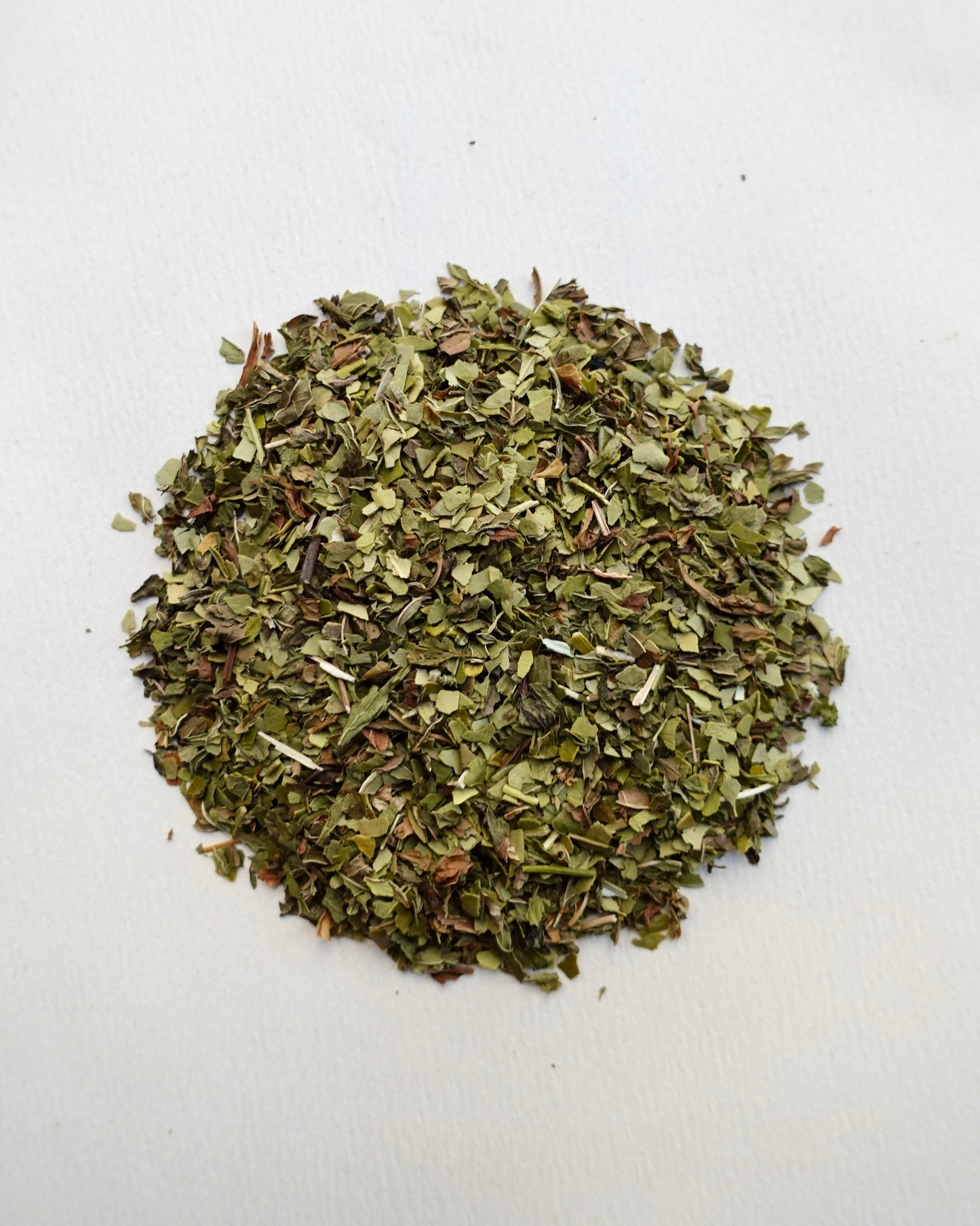 Yerba Mate Spearmint | Focus Tea