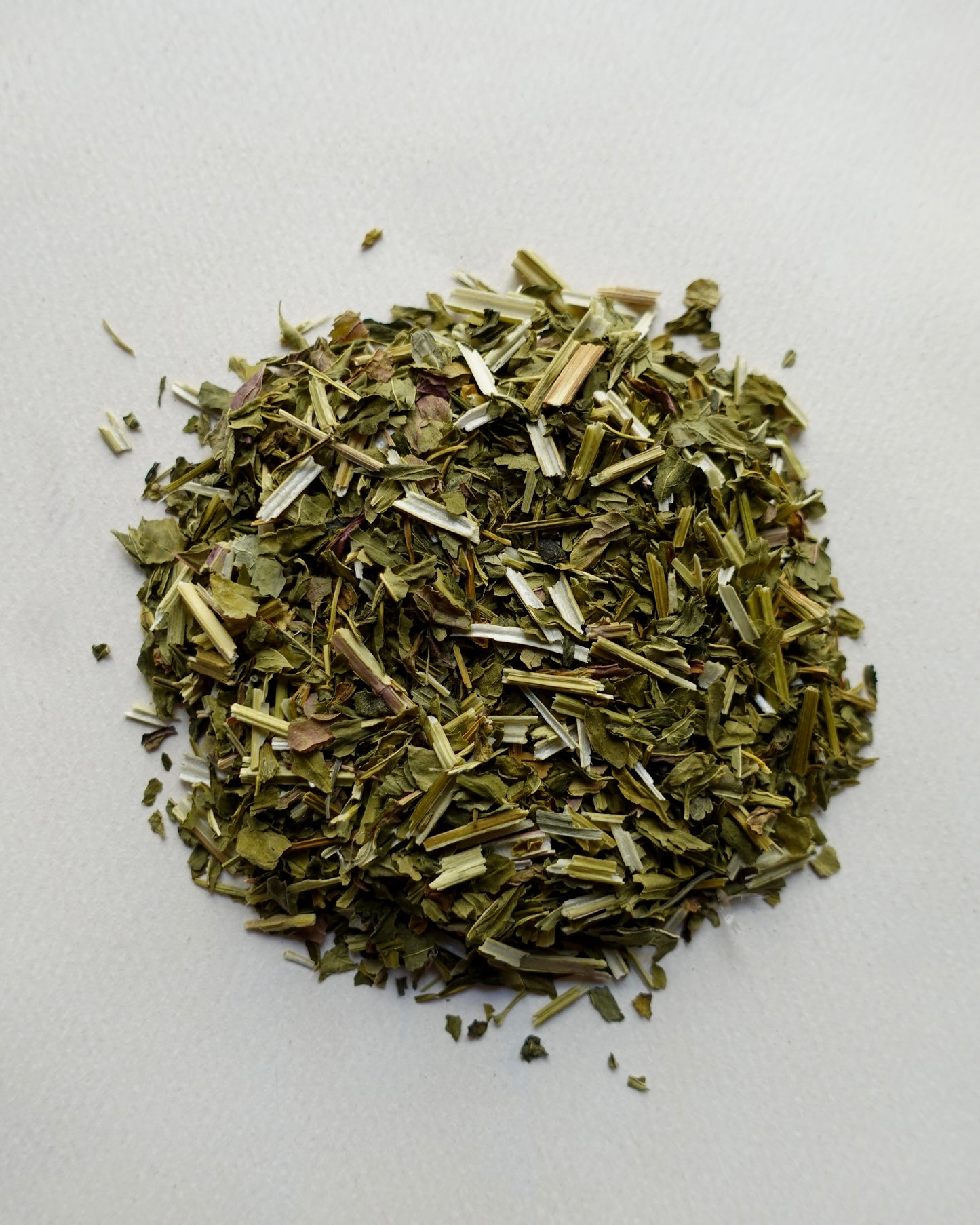 Skullcap | Apothecary Tea