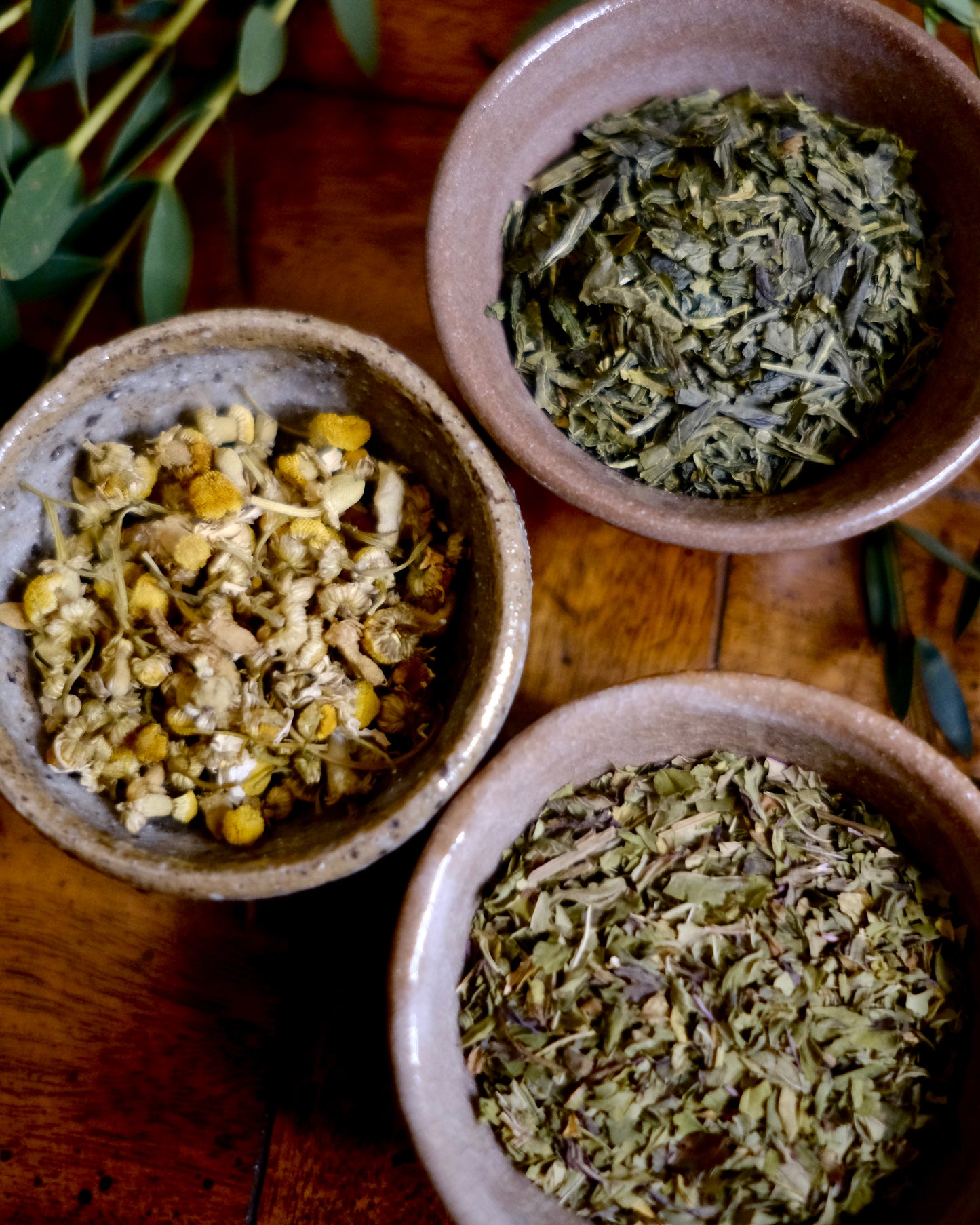 Apothecary Starter Trio